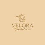 Brand Identity Design and Logo Design for Velora